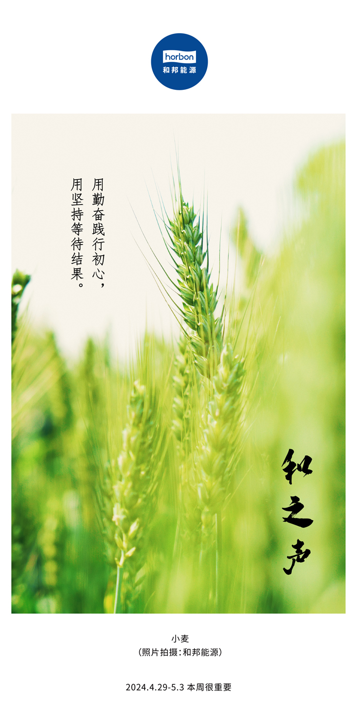 【和之声】用勤劳践行初心，，，用坚持期待效果。。（总第132期）2024.4.29-5中文改小季度推送用.jpg