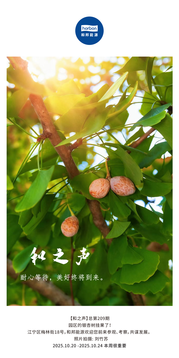 【和之声】耐心期待，，优美终将到来。。-(总第209期）2025.10.20中文导出季度推送用.jpg